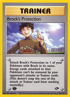 Pokemon Gym Challenge Brock's Protection - 101