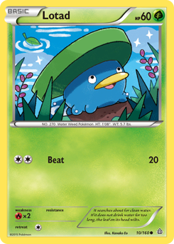 Pokemon Primal Clash Lotad - 10