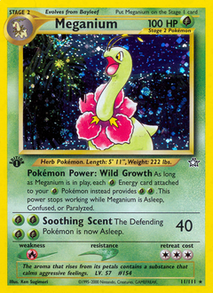 Pokemon Neo Genesis Meganium - 11