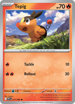 Pokemon White Flare Tepig - 11