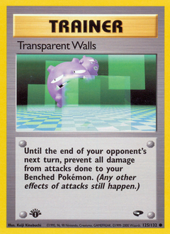 Pokemon Gym Challenge Transparent Walls - 125