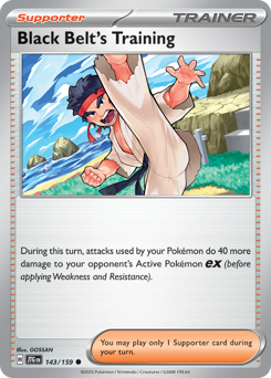 Pokemon Journey Together Black Belt's Training - 143