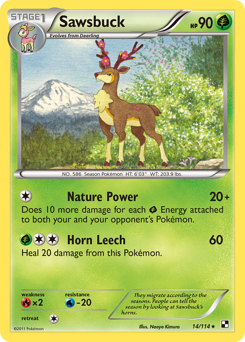 Pokemon Black & White Sawsbuck - 14