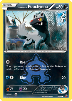 Pokemon Double Crisis Team Aqua's Poochyena - 16