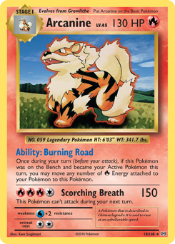 Pokemon Evolutions Arcanine - 18