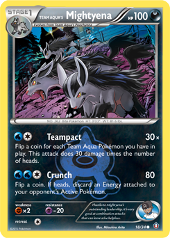 Pokemon Double Crisis Team Aqua's Mightyena - 18