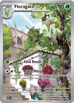 Pokemon Paldea Evolved Floragato - 197