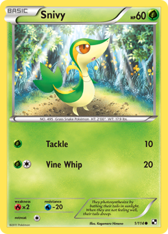 Pokemon Black & White Snivy - 1