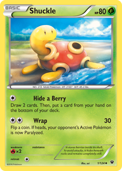 Pokemon Fates Collide Shuckle - 1
