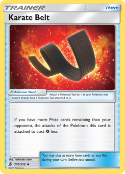 Pokemon Unified Minds Karate Belt - 201