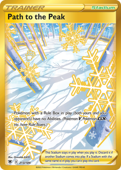 Pokemon Astral Radiance Path to the Peak - 213