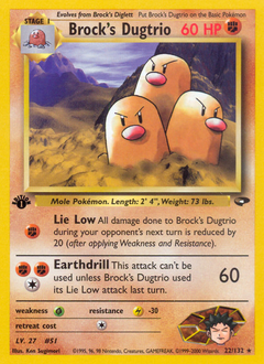 Pokemon Gym Challenge Brock's Dugtrio - 22