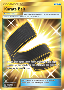 Pokemon Unified Minds Karate Belt - 252