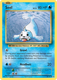 Pokemon Evolutions Seel - 28