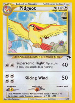Pokemon Southern Islands Pidgeot - 2