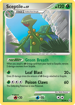 Pokemon Arceus Sceptile - 30