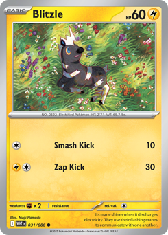 Pokemon White Flare Blitzle - 31