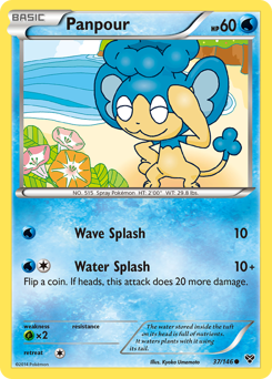 Pokemon XY Panpour - 37