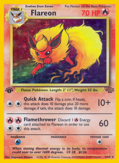 Pokemon Jungle Flareon - 3