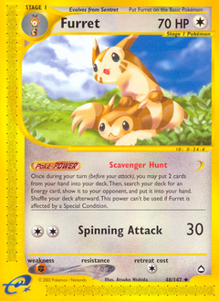 Pokemon Aquapolis Furret - 48