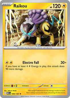 Pokemon Mega Evolution Raikou - 48