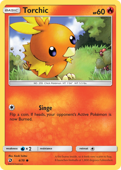 Pokemon Dragon Majesty Torchic - 4