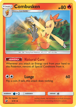 Pokemon Dragon Majesty Combusken - 5