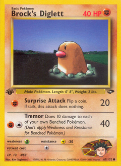 Pokemon Gym Challenge Brock's Diglett - 67