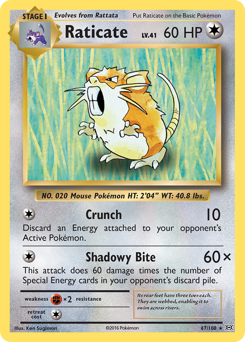 Pokemon Evolutions Raticate - 67