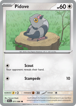 Pokemon Black Bolt Pidove - 71