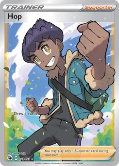 Pokemon Champion's Path Hop - 73
