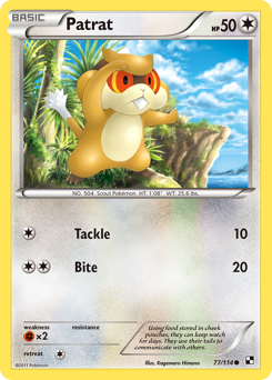 Pokemon Black & White Patrat - 77