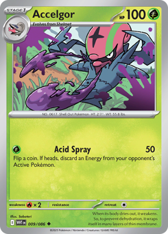 Pokemon White Flare Accelgor - 9