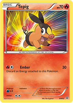 Pokemon BW Black Star Promos Tepig - BW02