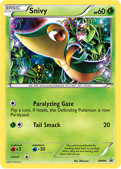 Pokemon BW Black Star Promos Snivy - BW06