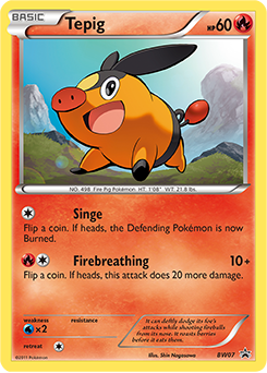 Pokemon BW Black Star Promos Tepig - BW07