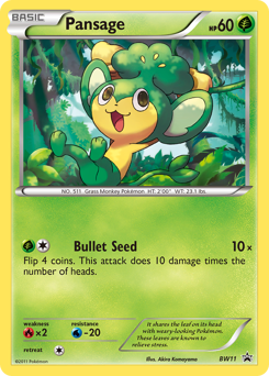 Pokemon BW Black Star Promos Pansage - BW11