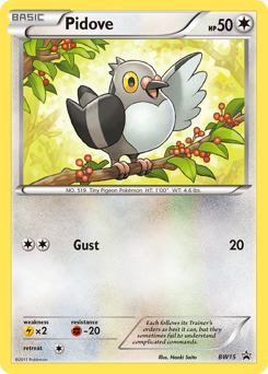 Pokemon BW Black Star Promos Pidove - BW15