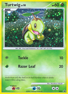 Pokemon DP Black Star Promos Turtwig - DP01