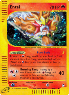 Pokemon Aquapolis Entei - H8