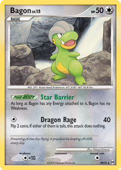 Pokemon Arceus Bagon - SH10