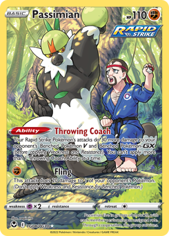 Pokemon Silver Tempest Trainer Gallery Passimian - TG08