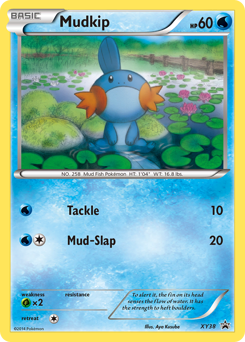 Pokemon XY Black Star Promos Mudkip - XY38