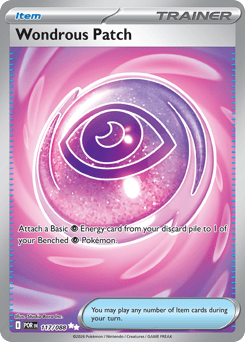 Pokemon Perfect Order Wondrous Patch - 117