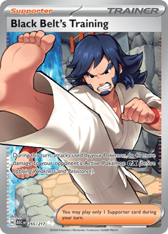 Pokemon Ascended Heroes Black Belt's Training - 255