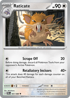 Pokemon Perfect Order Raticate - 61